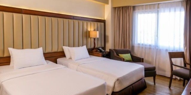 Paw Suite Room
